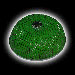 Фильтр воздушный Pro.Sport поролон, HKS style, зеленый (D=70) 