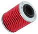 K&N Oil Filter для CAN-AM CAN-AM Maverick Sport 1000R DPS 976