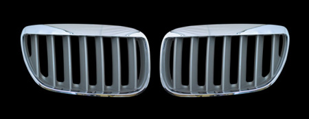 Декоративная решетка радиатора BMW X5 '03 серебро/хром